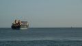 Palabora - Estuaire de la Loire - 11 juillet 2013 (23).JPG